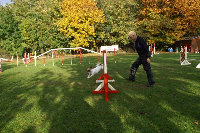 agility 2011-10-30